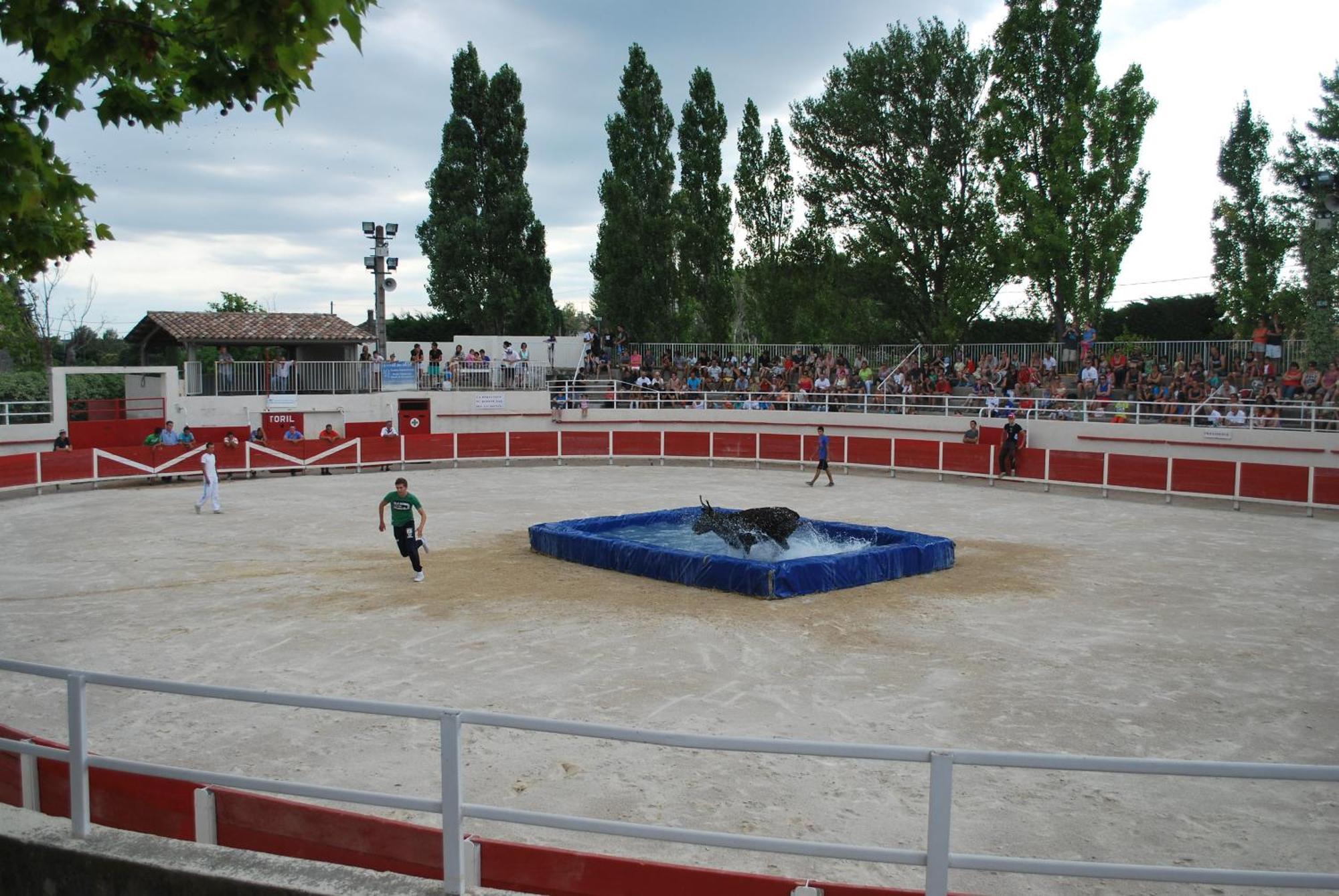 Villa La Cigale, Maussane Les Alpilles Zewnętrze zdjęcie